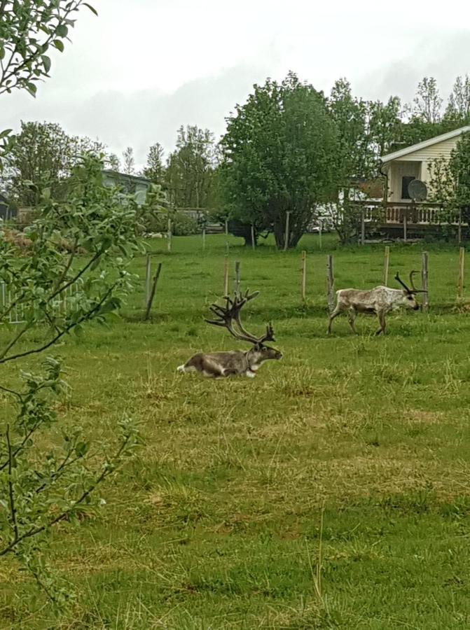 Nydelig Utsikt, Egen Leilighet Med To Parkeringer Movik  Exterior photo
